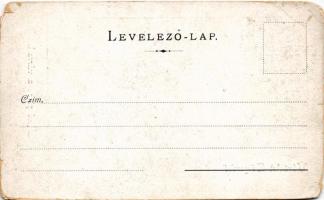 Zólyom, Zvolen; Alsó piac a várral / main square, castle (EM)