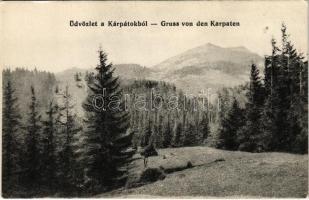 Kárpátalja, Üdvözlet a Kárpátokból! / Gruss von den Karpaten / Zakarpattia Oblast / Greetings from the Carpathian Mountains