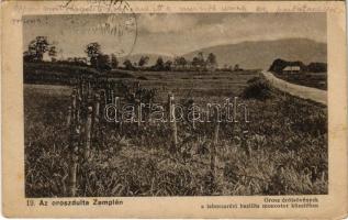 1916 Laborcrév, Krasznibród, Krásny Brod (Mezőlaborc, Medzilaborce, Möze Laborcz); Az oroszdúlta Zemplén 19. Orosz drótsövények a laborczrévi bazilita monostor közelében. Kiadja Danielisz Lajos / WWI Russian wire fences near the Basilian monastery (EK)