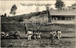 Kárpátok. Ruszin (rutén) népviselet / Karpaten. Ruthenische Volkstracht / Zakarpattia Oblast. Rusyn (Ruthenian) folklore from the Carpathian Mountains