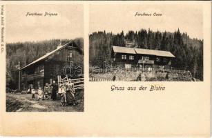 Sebes-völgy, Valea Sebesului; Gruss aus der Bistra. Forsthaus Prigona, Forsthaus Oasa / erdészet, erdészlak. Verlag Adolf Weissörtel & Co. / forestry houses (felületi sérülés / surface damage)