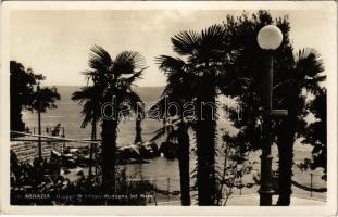 1937 Abbazia, Opatija; Gruppo di palme (Madonna del Mare) / palm trees