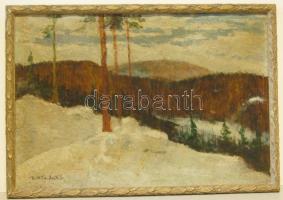 Bottka Miklós (1876-1941): Hármashatárhegy; olaj-karton, szignált 85x60 cm