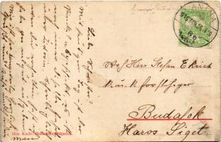 1915 Anina, Stájerlakanina, Stájerlak, Steierdorf; Hollschütz 1314. (EB)