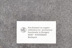 Stefániay Edit: Női fej, Zománc, réz lemez. Bőr keretben. 10x15 cm