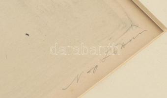 Olvashatatlan jelzéssel: Budapesti panoráma. Rézkarc, papír, jelzett, üvegezett fakeretben, 29×39 cm