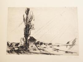 Szőnyi István (1894-1960): Rézkarc album, 100 db-os
rézkarc, papír, 44x61 cm minden lap jelzett, Bp...