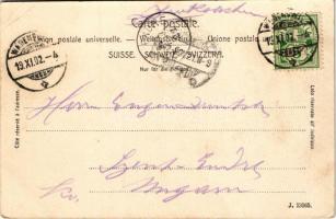 1902 Wädenswil, Wädensweil, Wädischwil; Allgemeiner Anzeiger vom Zürichsee, Zum 60 jährigen Bestande...