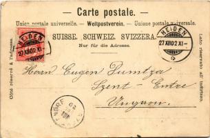 1902 Heiden, Gasthaus Helvetia / hotel and restaurant. Art Nouveau, floral, Gebr. Metz (tiny tear)