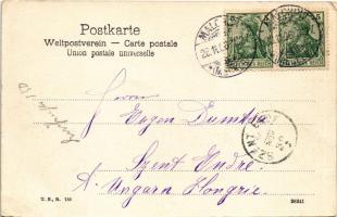 1906 Malchow i. Meckl., Fabrik / factory. Ernst Schröder (EB)