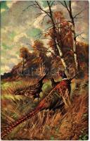 Pheasant. Hunting art postcard. KVB Serie 9025. s: E. Heller
