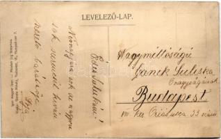 Pallay Sándor - Kossuth Ferenc és a Függetlenségi (országgyűlési függetlenségi és 48-as) párt titkár...