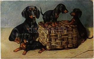 Dachshund dogs. T.S.N. Serie 1819. (6 Dess.) (EK)