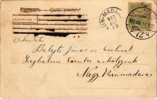 1902 Child with donkey (EK)