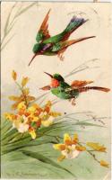 1924 Hummingbirds s: C. Klein (EK)