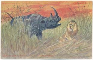 Rhinoceros and Lion. An unexpected meeting. Copyright by R. O. Füsslein. Animal Series V. s: H. Egersdorfer (ázott / wet damage)