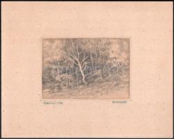 Olvashatatlan jelzéssel: Erdőrészlet. Ceruza, papír, 11x14 cm Kartonon