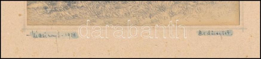 Olvashatatlan jelzéssel: Erdőrészlet. Ceruza, papír, 11x14 cm Kartonon