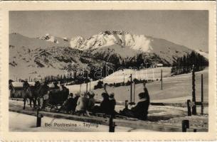 Bei Pontresina, Tayling. Wehrli A.-G. 22271. / Szánkózók lovasszánnal húzása, téli sport / Sledders being drawn by horse-sleighs, winter sport