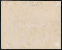 1919 Füzesabony, a magyar Vöröshadsereg vadászrepülőgépe és pilótája / Hungarian Red Army airplane. ...