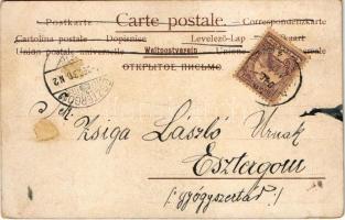 1903 Boldog újévet! Lóhere gyerekfejjel / New Year greeting, clover with baby head. litho (Rb)