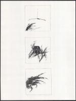 Makói mappa, 1980, 3.. Hajas Tibor, Banga Ferenc, Bálványos Huba, Benes József, Karsai Ildikó, Károl...