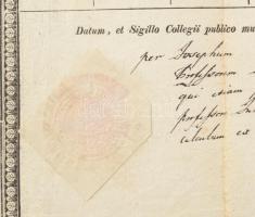 1839 Debreceni Református Kollégium bizonyítványa, aláírásokkal. Kerekes Ferenc matematikus, Kalós M...