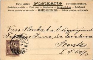 1901 Szecessziós hölgy napraforgókkal / Sunflower lady. Art Nouveau litho