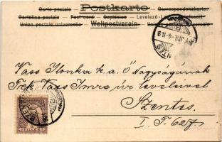 1901 Szecessziós hölgy ibolyákkal / Violet lady. Art Nouveau litho