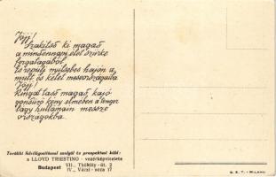 Csodás körutazás a Földközi tengeren. Lloyd Triestino vezérképviselete kiadása, turisztikai reklám /...