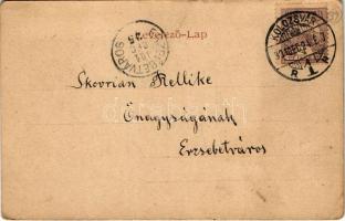 1901 Kolozsvár, Cluj; Karolina országos kórház kápolnája / hospital chapel (kis szakadás / small tea...