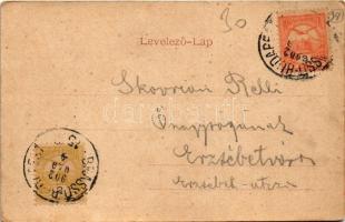 1902 Kolozsvár, Cluj; Emke téri park / park (EK)