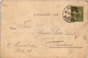 1901 Báziás, téli kikötő, MÁV vontatóhajók és háttérben kotróhajó / towing steamships and dredge in ...