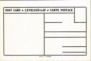 Kassa, Kosice; Magyar, tót és német nemzetiségek népesség aránya. Címer, Pátria r.-t. kiadása / Perc...