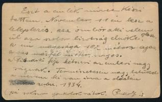 1934 A Lengyel Függetlenség Napjára (november 11.) készített, 10 méter magas, tetején sassal díszíte...