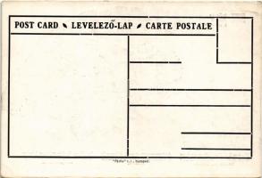 Az úgynevezett demarkációs vonal a román-cseh-szerb imperialisták kezében. Patria rt. kiadása / Hung...