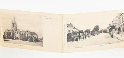 cca 1900 Nagyszeben (Hermannstadt / Sibiu),11 db db képet tartalmazó leporelló, szecessziós kötésben...