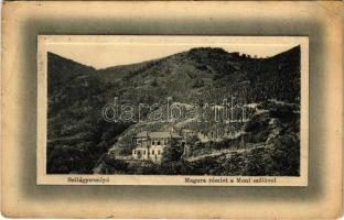 1915 Szilágysomlyó, Simleu Silvaniei; Magura részlet a Moni szőlővel, Moni villa. W.L. P. Ideal Schwarcz E. és Társa kiadása, Simonek G. amateur felvétele / Magura mountain, villa, vineyards (r)