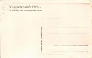 Magyarország trianoni lehetetlen határáról. Osztrák határmenti udvar: a pajta magyar, a sütőkemence ...