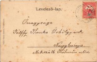 1915 Felsőbánya, Baia Sprie; Zazarmenti részlet. Túry József amatőr felvétele, Szabó Károly kiadása ...