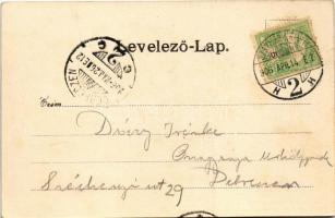 1906 Szatmárnémeti, Szatmár, Satu Mare; Protestáns felső leánynevelő intézet. Lövy M. kiadása / girl...