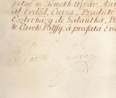 VÉDETT!!! 1750 A Dinnyés család címereslevele (armalis) Mária Terézia autográf aláírásával Sérült, s...