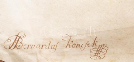 VÉDETT!!! 1750 A Dinnyés család címereslevele (armalis) Mária Terézia autográf aláírásával Sérült, s...