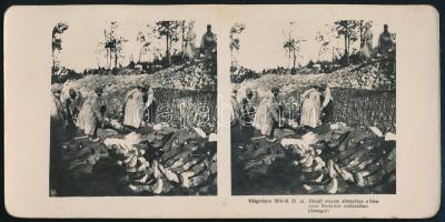 1914-1916 Elesett oroszok eltemetése a limanovai Mordarkar erdőcskében (tömegsír), sztereófotó, feliratozva, 9×18 cm