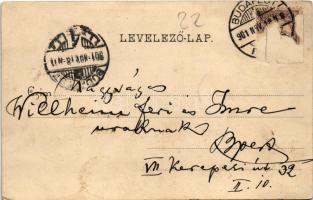 1901 Budapest VII. Kerepesi út 32. (Rákóczi út) üzletek, Rókus kórház és kápolna. Divald Károly 425....