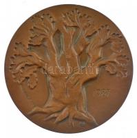 Szovjetunió 1987. "Majronisz" kétoldalas bronz emlékérem Jonas Mačiulis (Maironis) litván ...