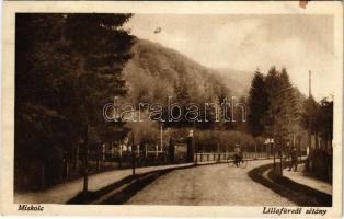 1930 Miskolc, Lillafüredi sétány, kerékpárosok (fl)