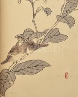 Madarak százai. Két kötetes, japán fametszeteket tartalmazó könyv. / 100 birds Japaneese book in two...