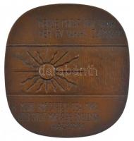 Szovjetunió 1973. "Nasimi 600" kétoldalas bronz emlékplakett Imadaddin Nasimi türk költő e...