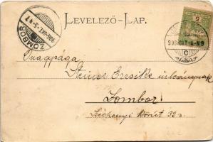 1906 Jászberény, Zárda és leánynevelő intézet, talicska (b)